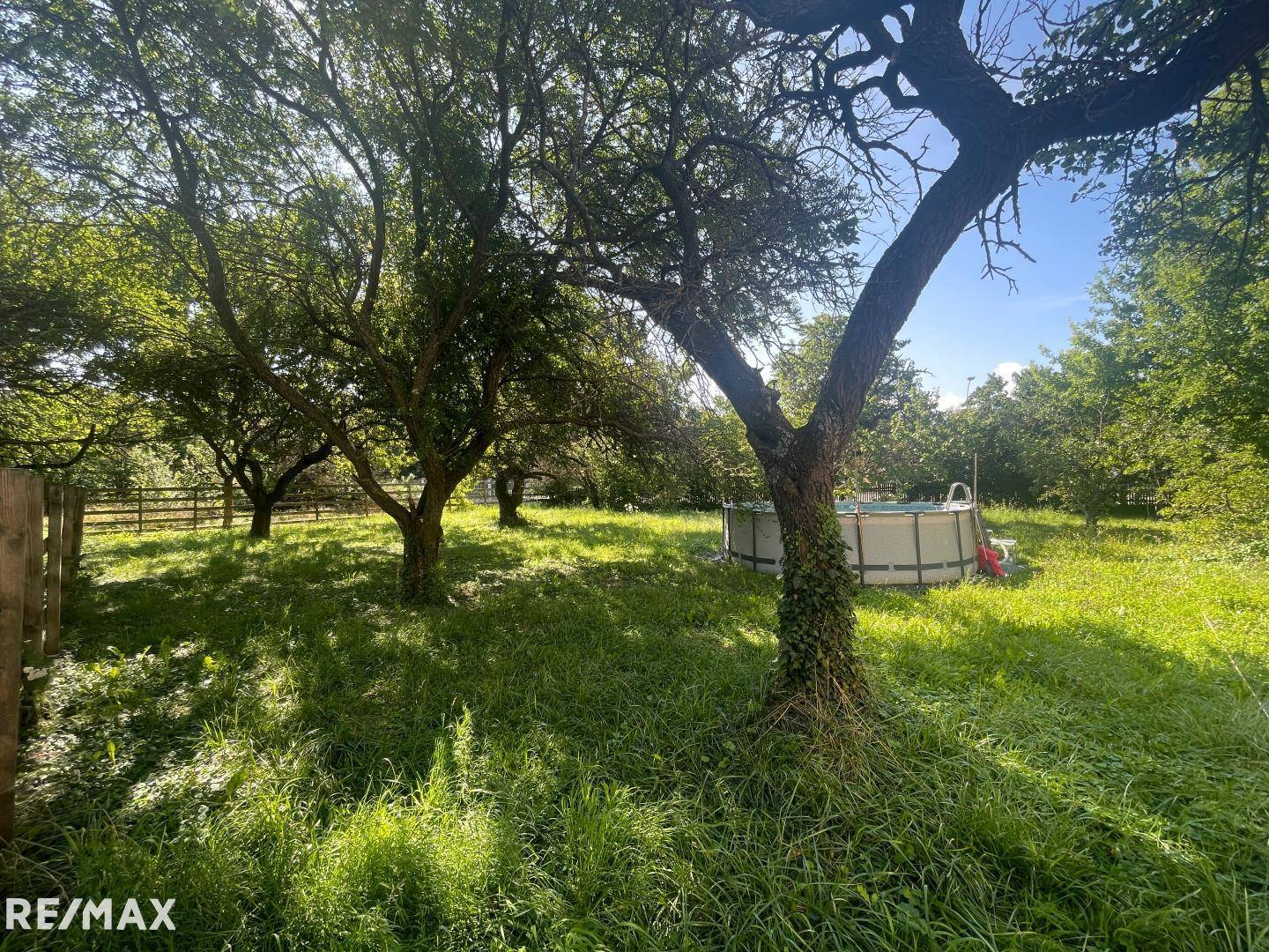 Sonniger Garten mit alten Bäumen, weitläufiger Rasenfläche und einem aufgestellten Pool.