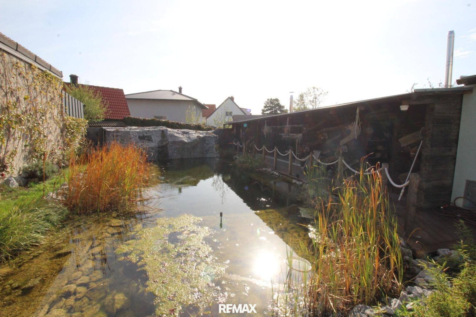 Naturnaher Garten mit einem Teich, umgeben von Gräsern und Pflanzen unter blauem Himmel.