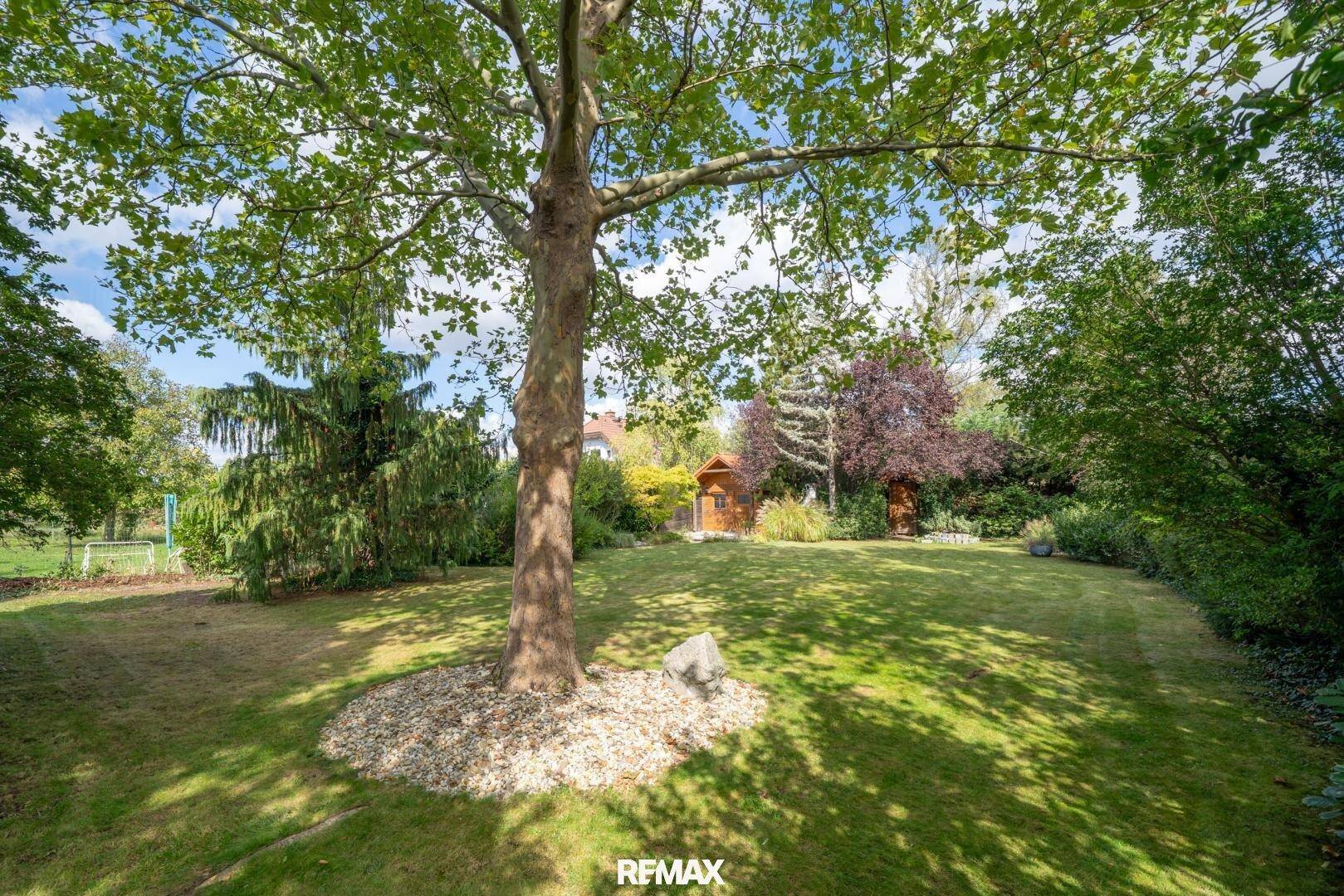 Großer, gepflegter Garten mit altem Baum, Rasenfläche und einem kleinen Gartenhaus.