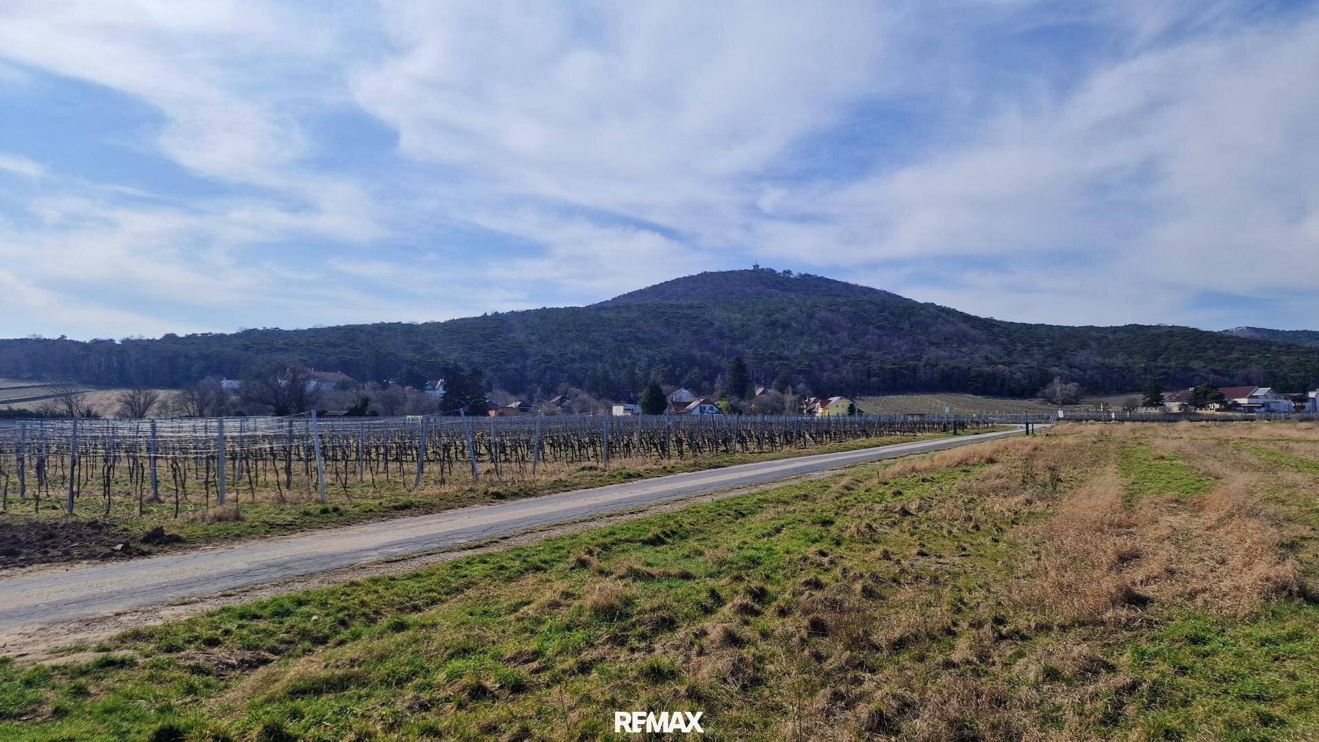 Malerische Landschaft mit Weinbergen, einem Feldweg und bewaldeten Hügeln im Hintergrund.