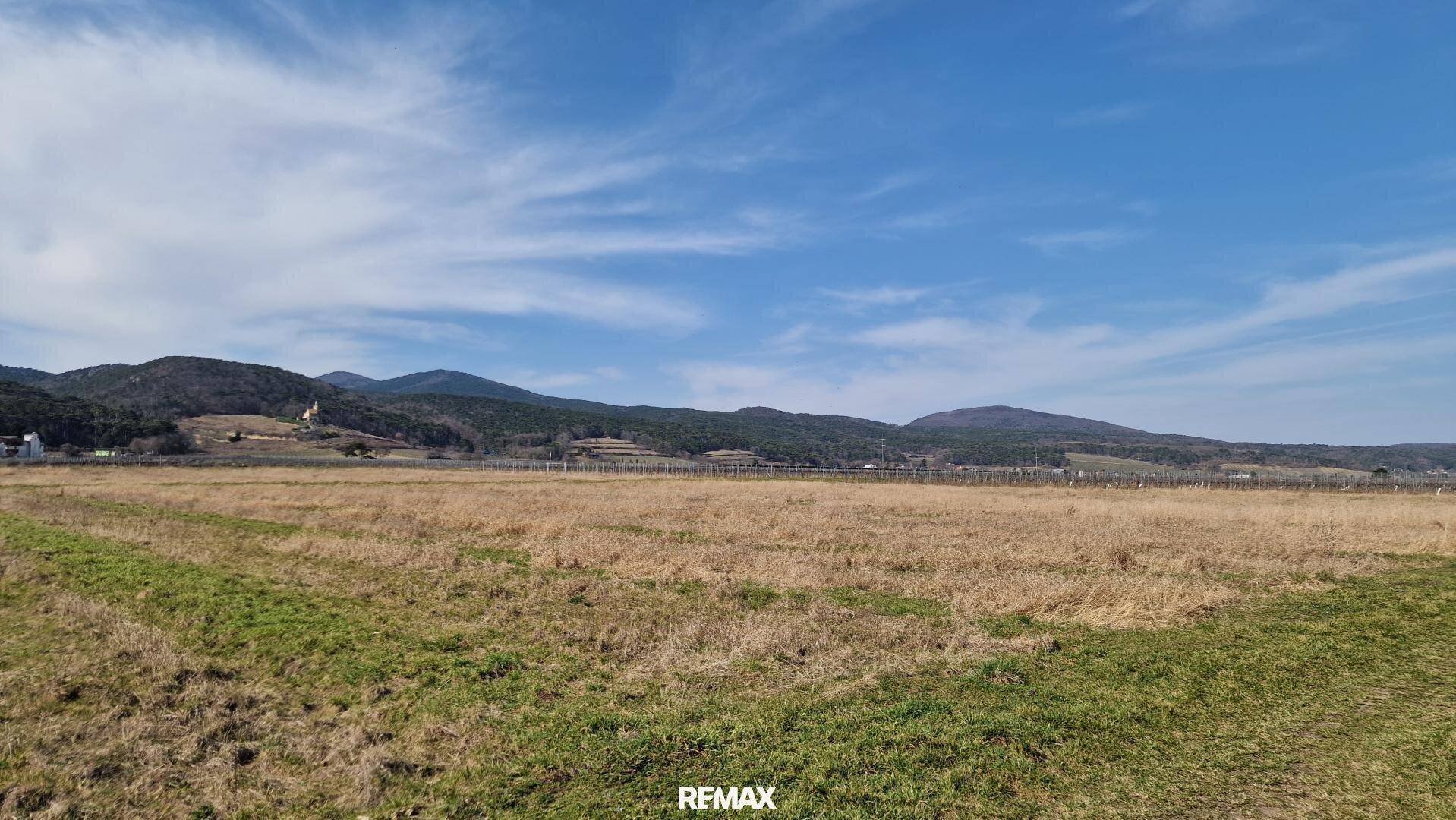 Weitläufige Landschaft mit grünen Feldern, braunem Gras und bewaldeten Hügeln unter blauem Himmel.