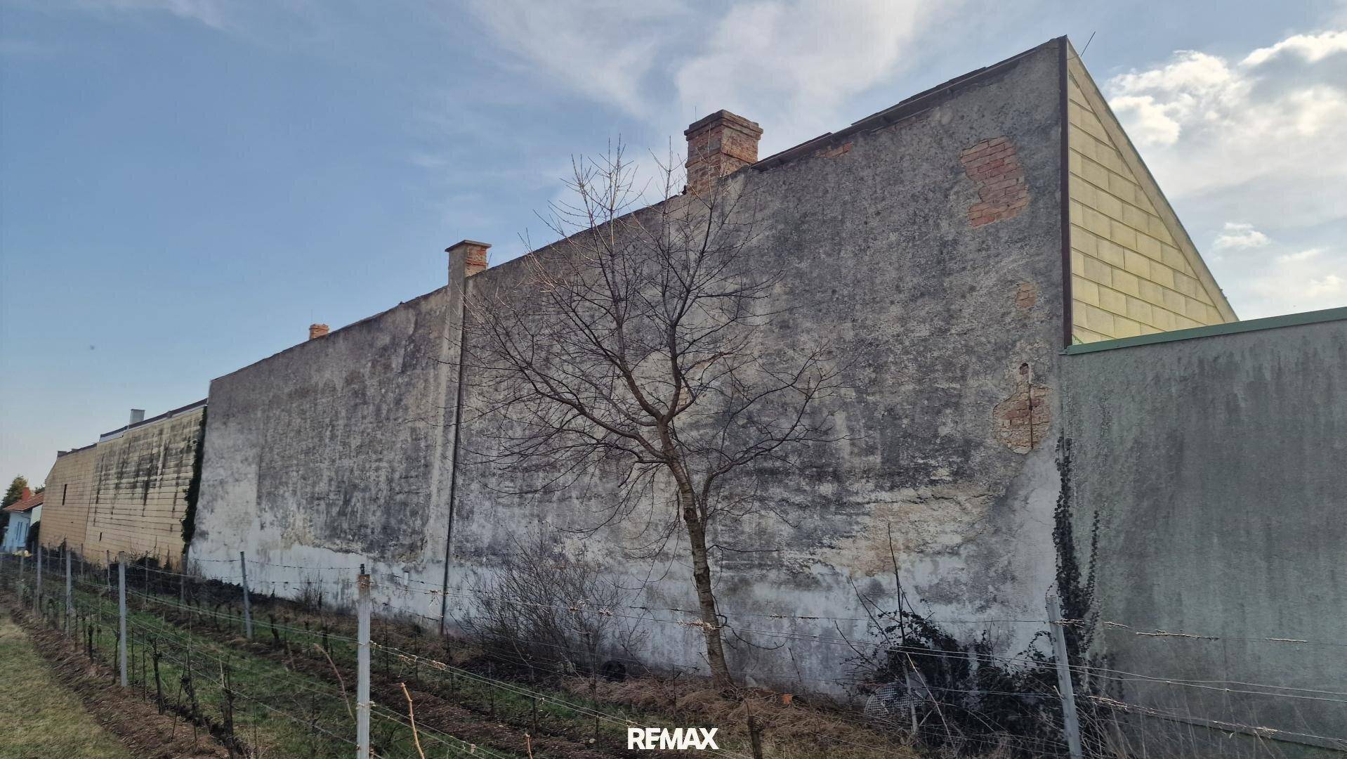 Lange, verwitterte Ziegelwand des Gebäudes mit einem kahlen Baum und Weinbergen im Hintergrund.