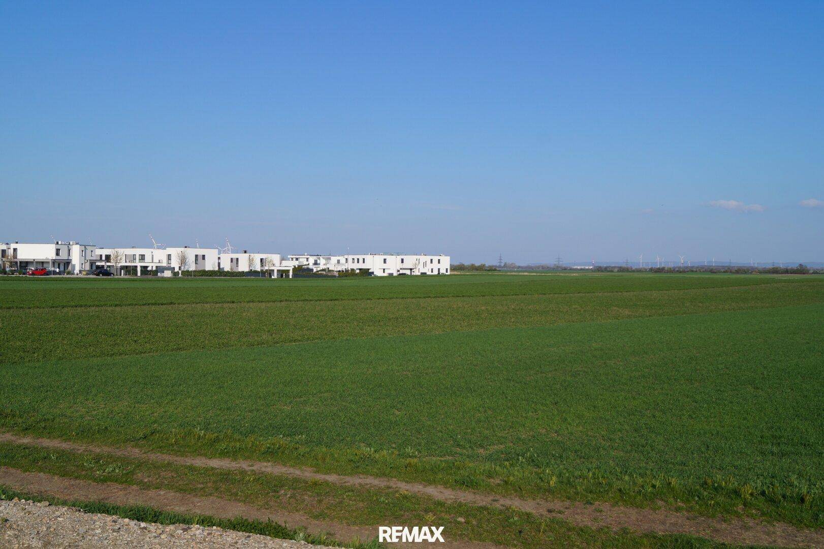 Weitläufige grüne Felder vor einer Reihe moderner Neubauten unter blauem Himmel.