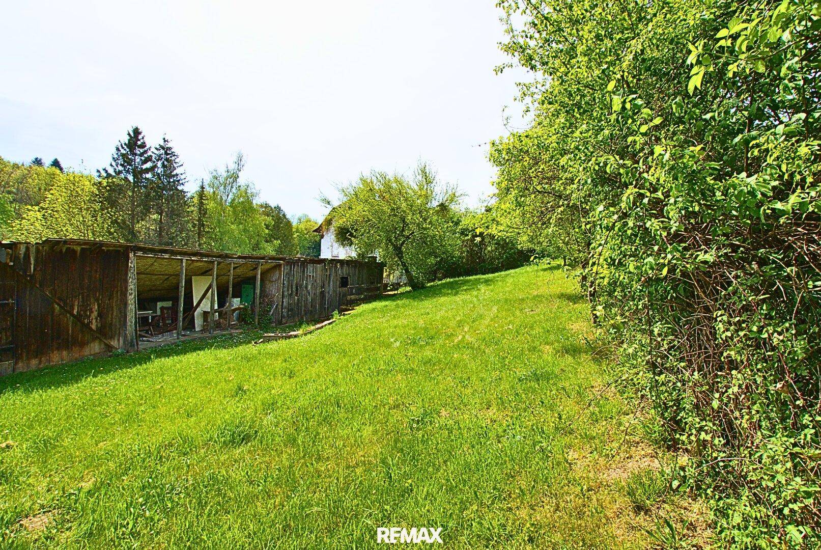 Großer, grüner Gartenbereich mit Rasenfläche und einem Holzschuppen im Hintergrund.