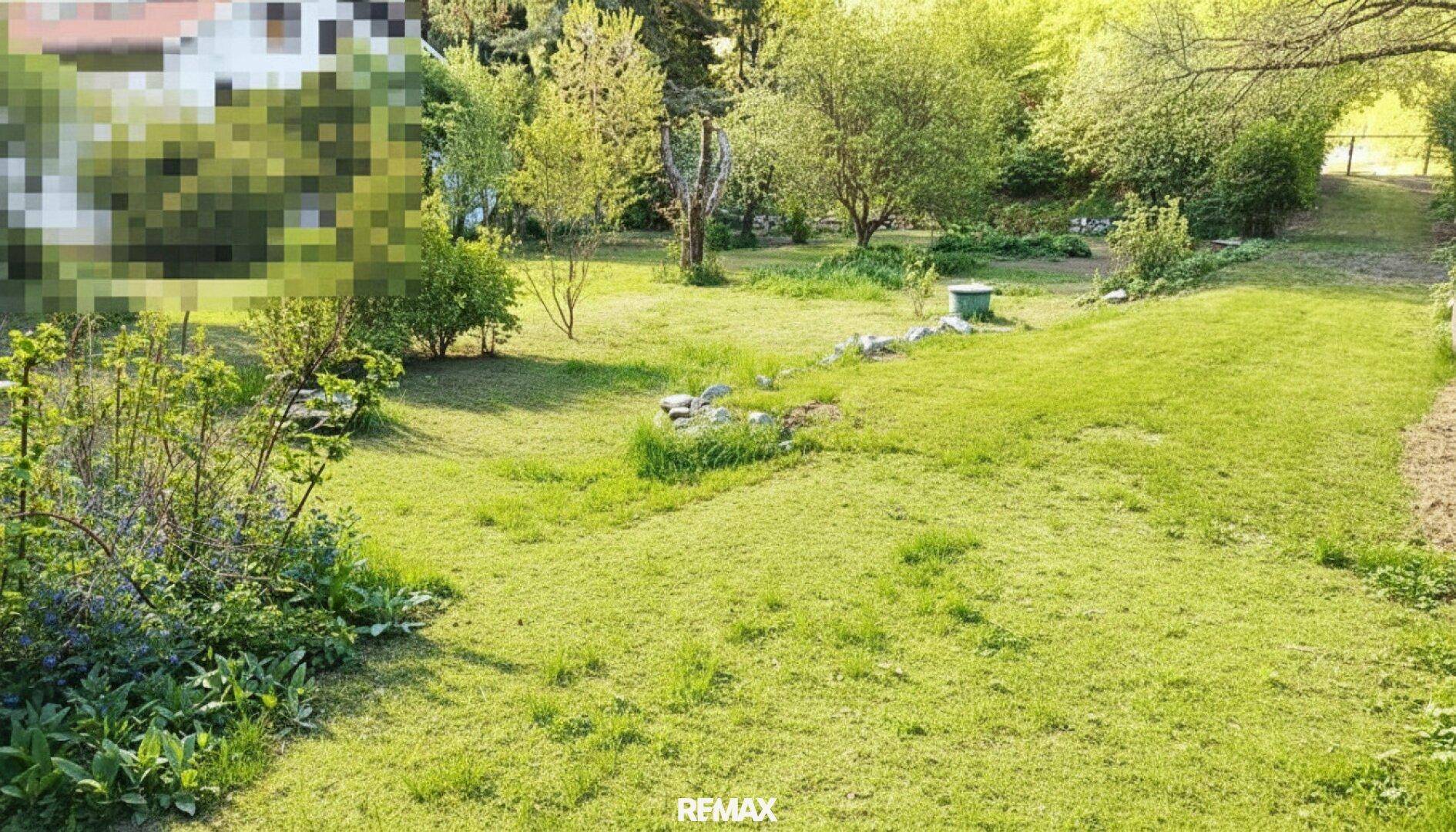 Gepflegter Rasenbereich im Garten mit einigen Felsen und Bäumen im Hintergrund.