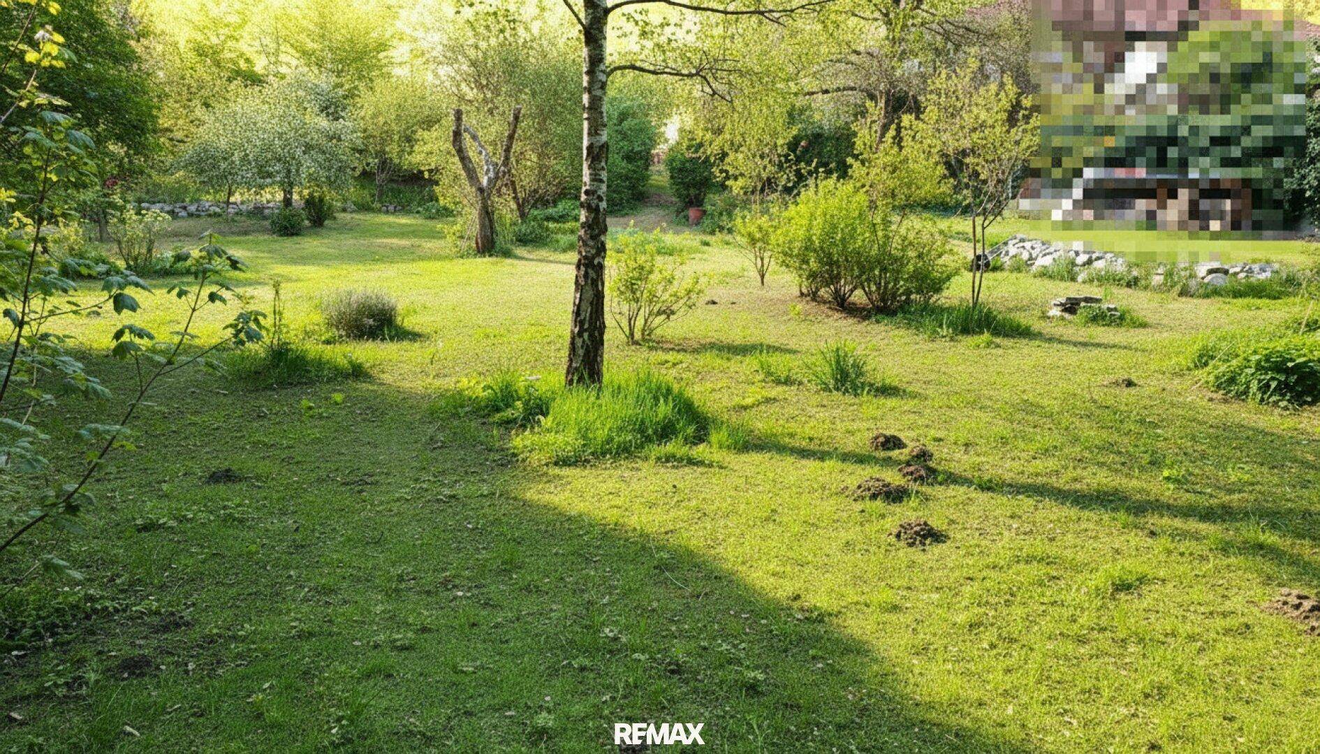 Sonniger Garten mit einem einzelnen Baum, Maulwurfshügeln und weiteren Bäumen im Hintergrund.