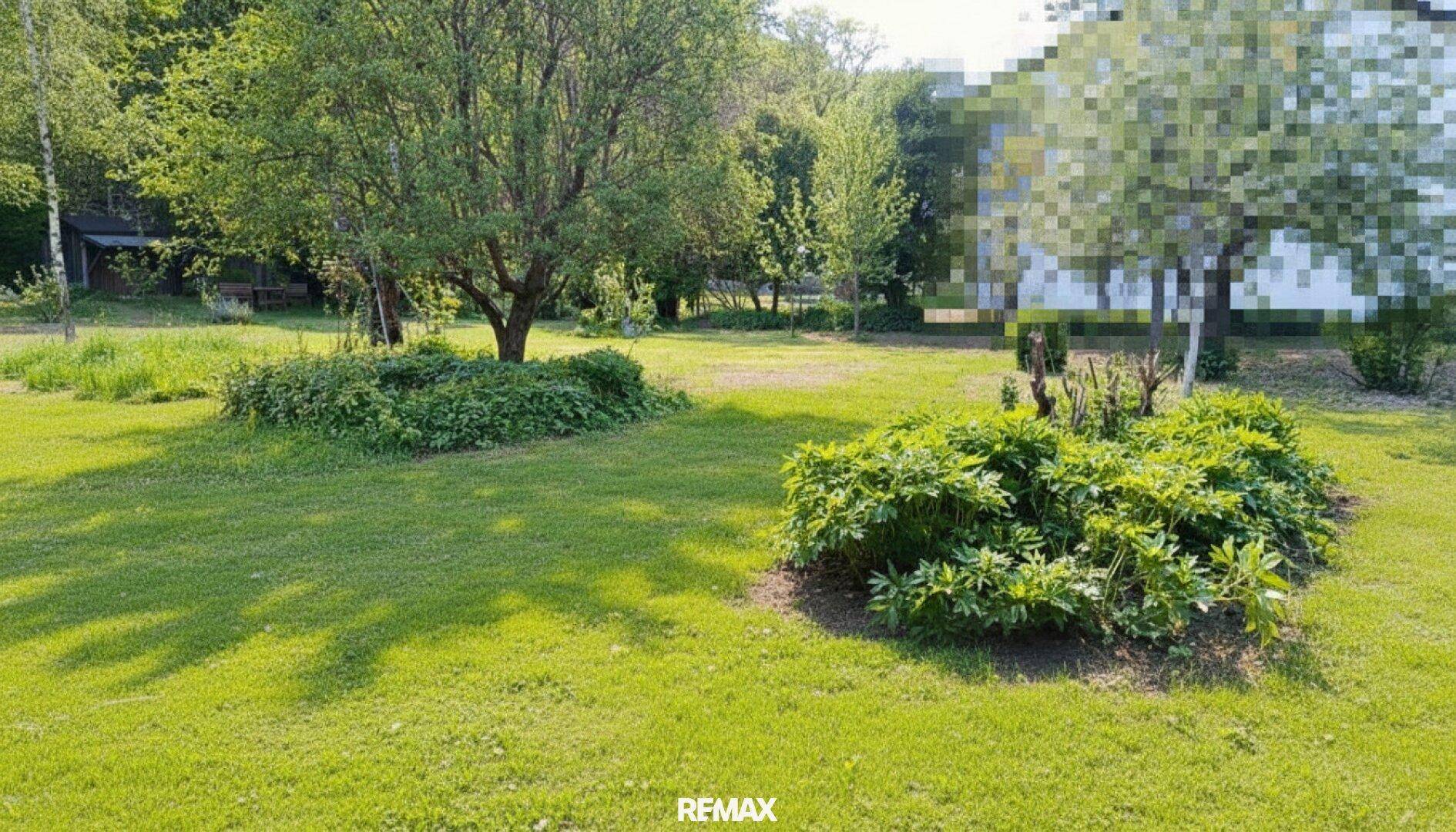 Sonnige Gartenfläche mit Rasen, Bäumen und Sträuchern, ideal für Entspannung im Freien.