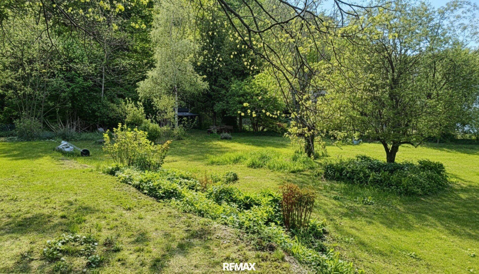 Hanglage im Garten mit üppiger Vegetation, Bäumen und sonnigen Rasenflächen.