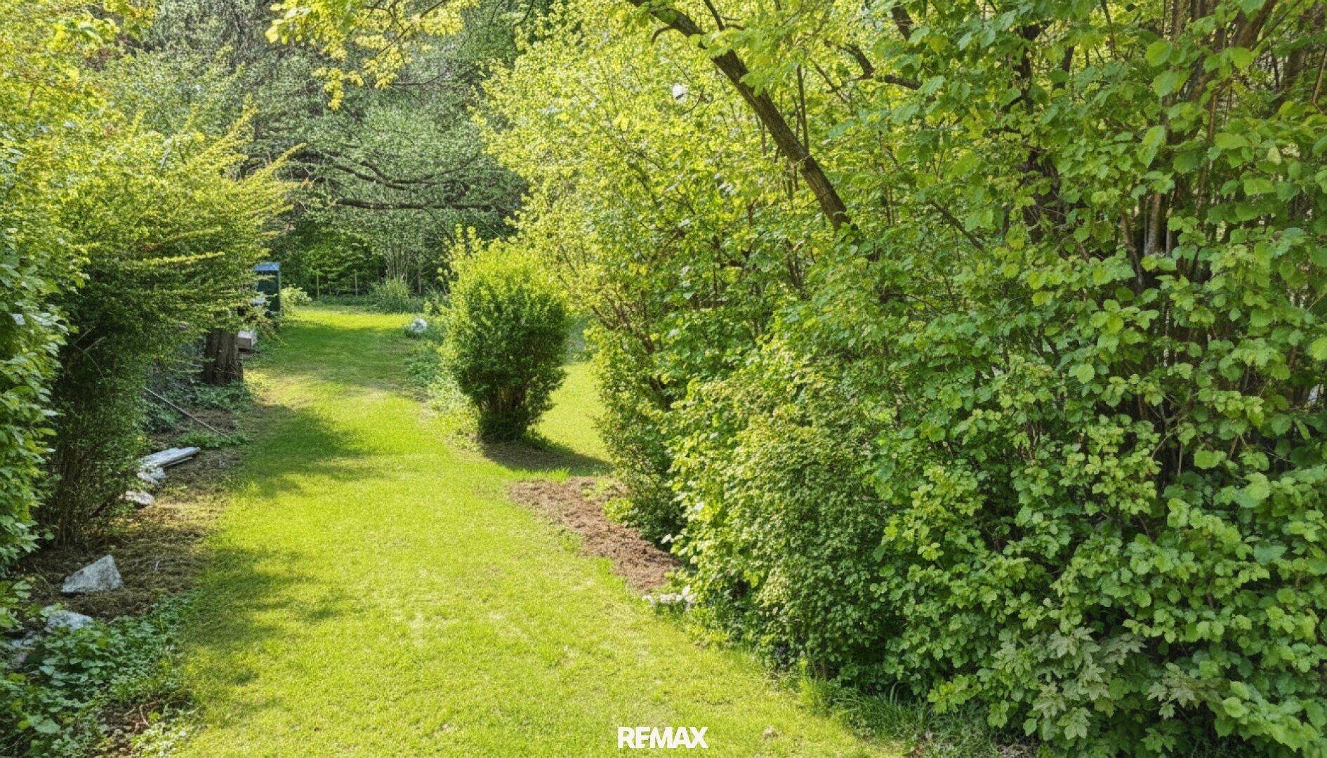 Gartenweg gesäumt von dichten Hecken und Sträuchern unter hellem Sonnenlicht.