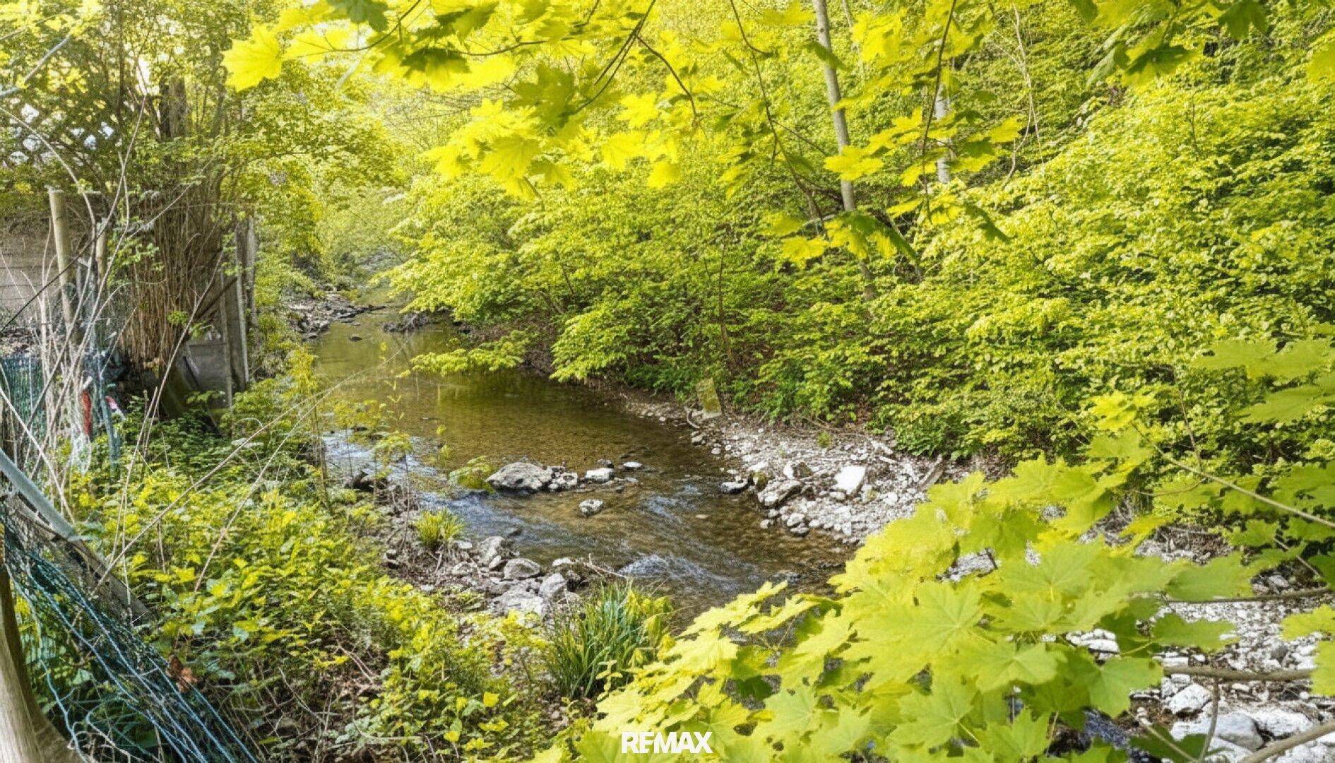 Natürlicher Bachlauf umgeben von üppigem Grün und Bäumen in einer idyllischen Landschaft.