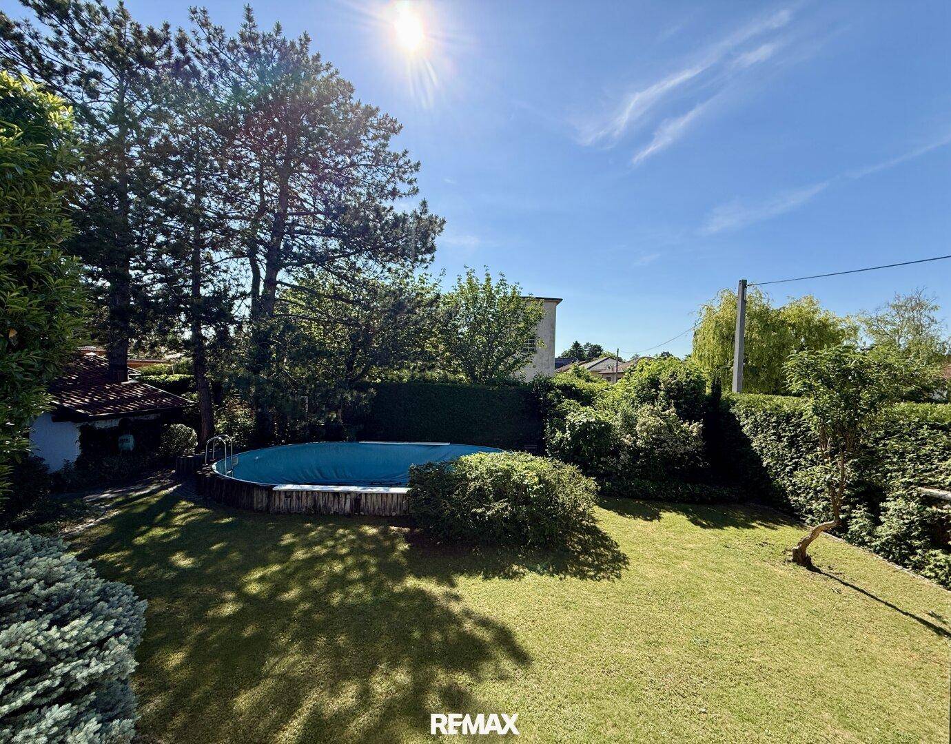 Sonniger Garten mit Rasenfläche, altem Baumbestand und einem oberirdischen Pool.