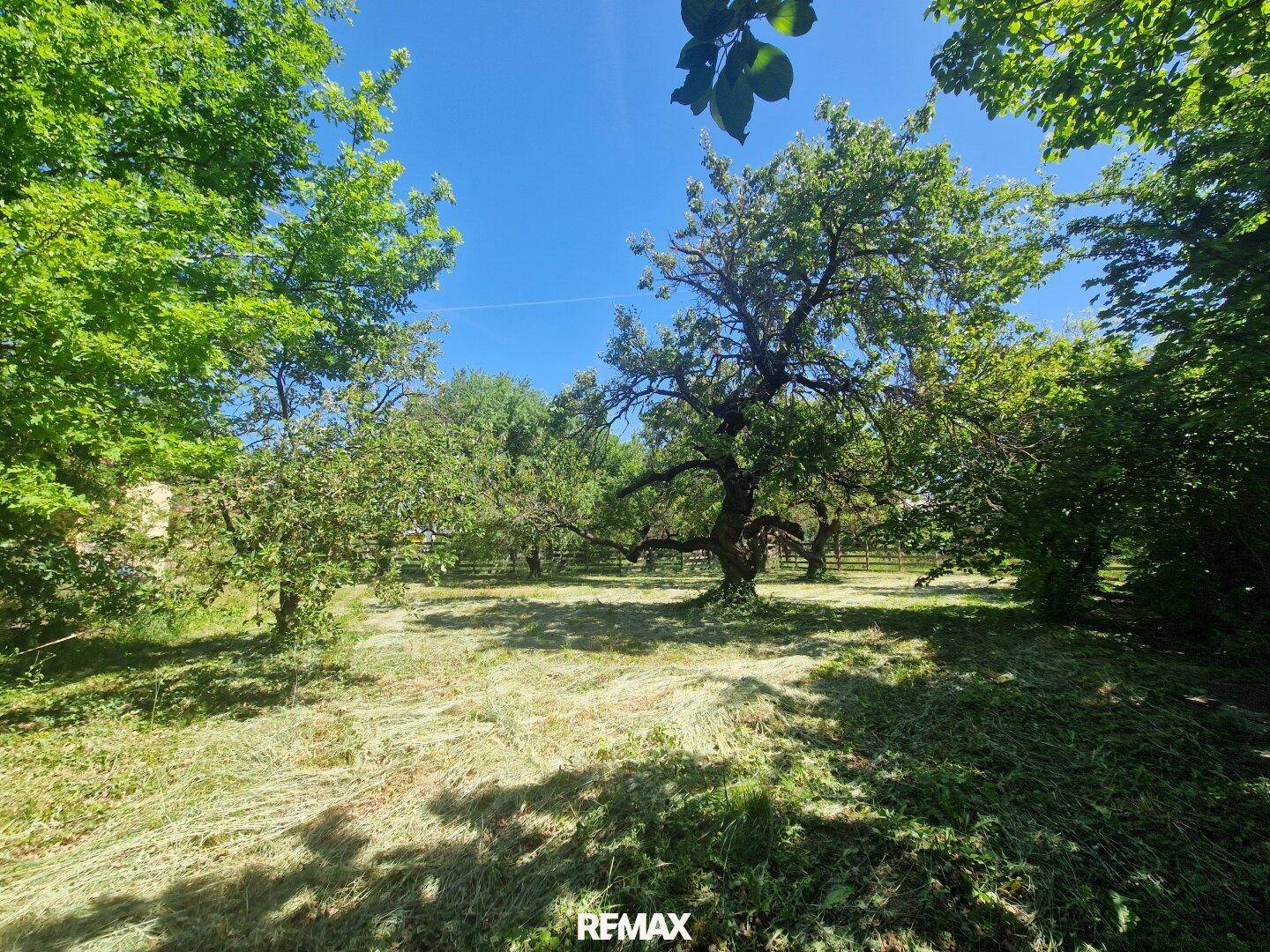 657m² Bauland zu kaufen! - Ansicht 5