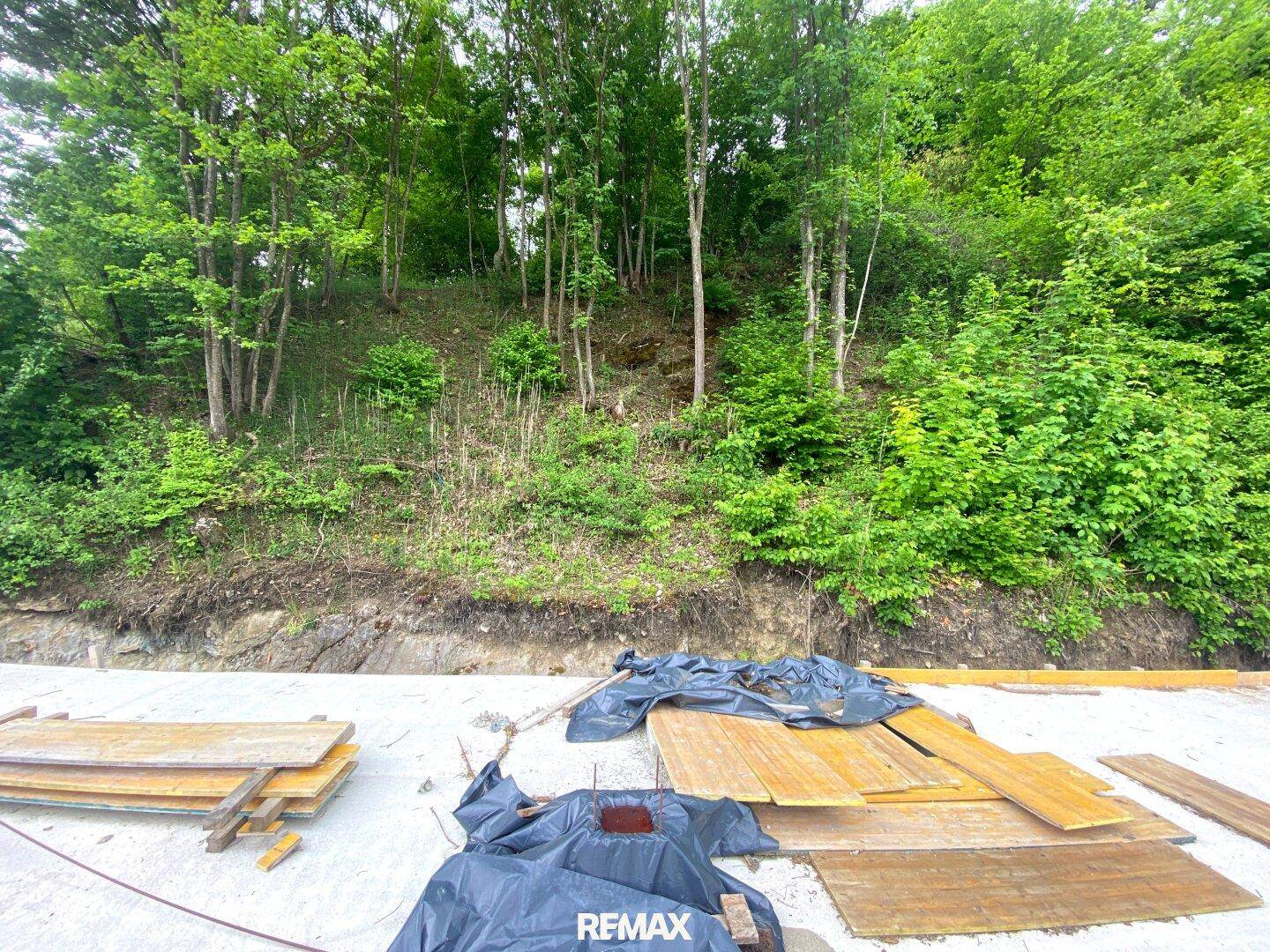 Blick auf das bewaldete Grundstück mit Bauholz und Materialien im Vordergrund.