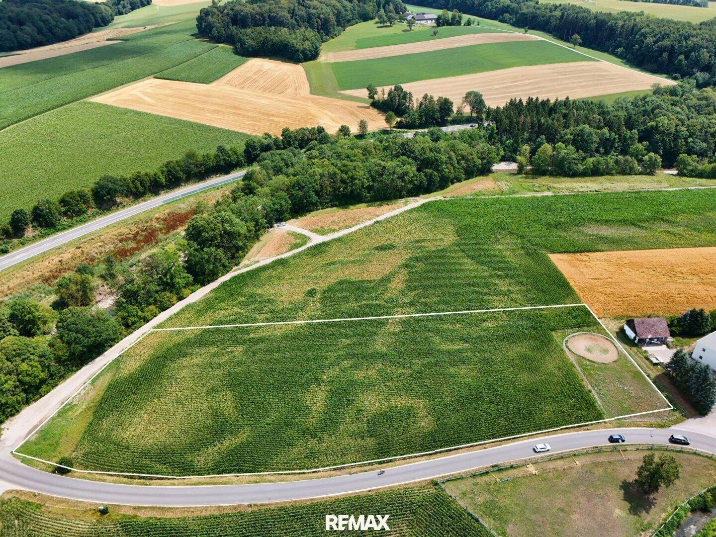 Luftaufnahme eines großen Feldes in ländlicher Umgebung, umgeben von Wäldern und einer Straße, die ein Grundstück abgrenzt.