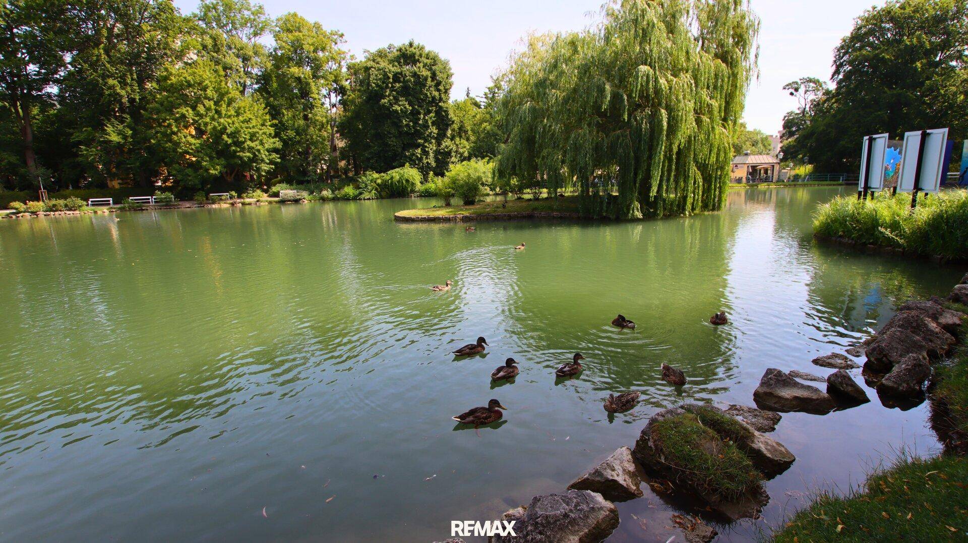 Enten schwimmen auf einem See mit einer kleinen Insel und üppiger Vegetation.