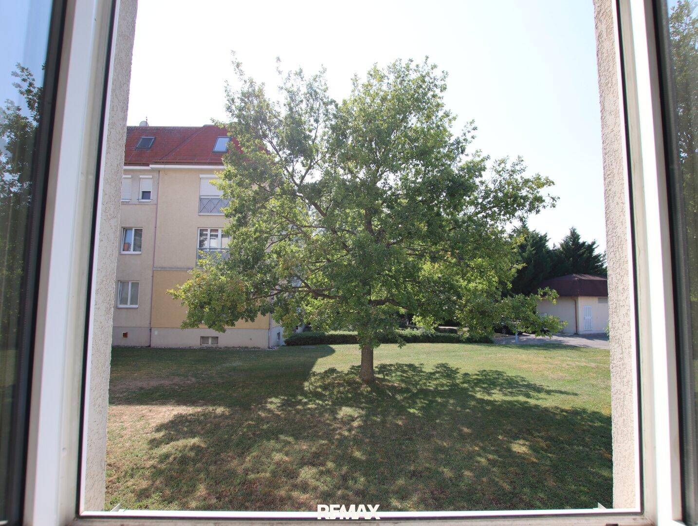 Blick aus dem Fenster auf einen großen Baum und die grüne Rasenfläche.