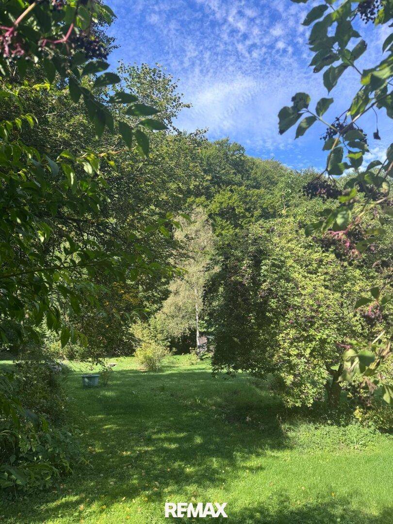 Weitläufiger grüner Gartenbereich umgeben von dichtem Baumbestand unter blauem Himmel.
