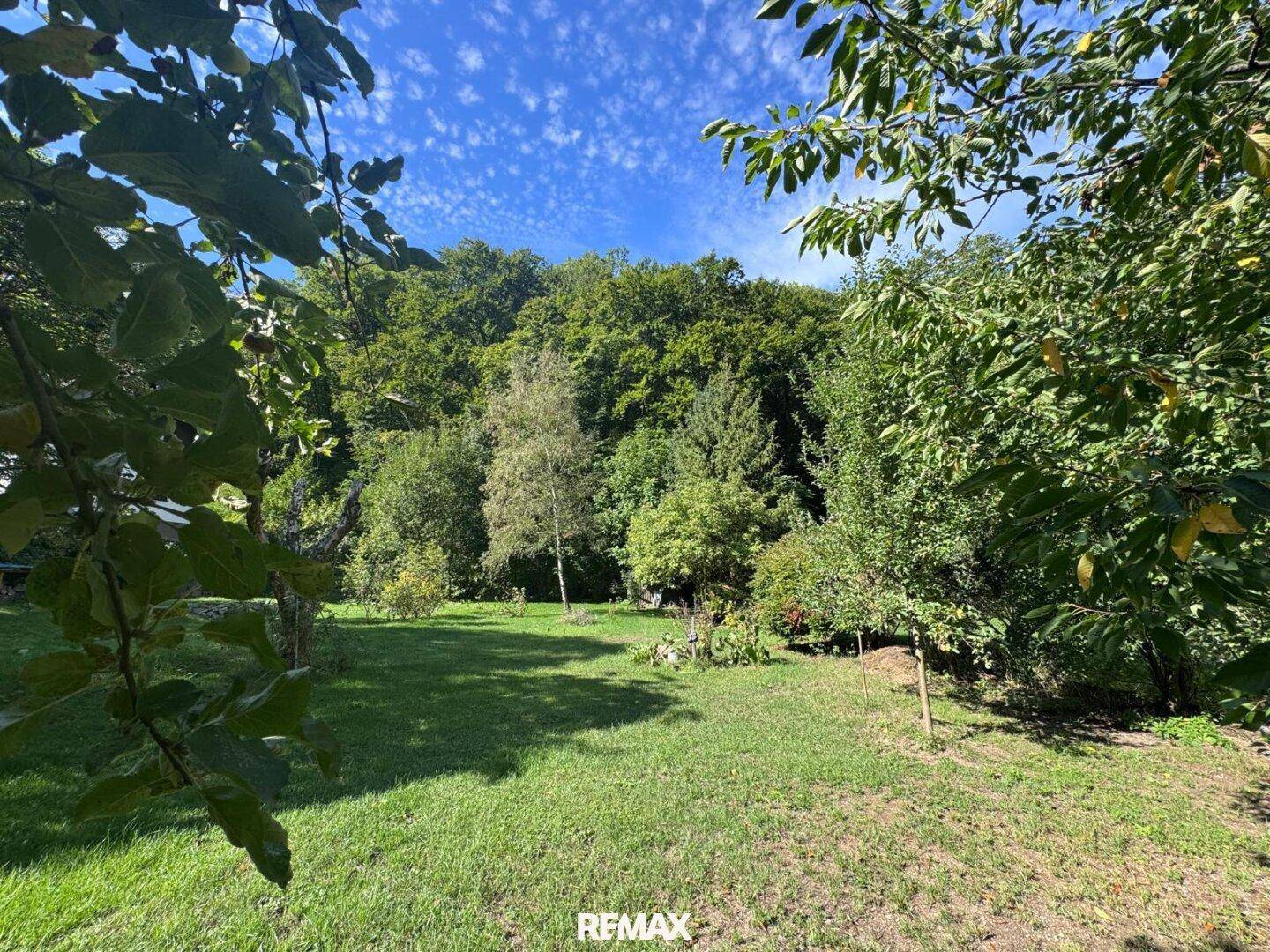 Weitläufiger grüner Garten mit verschiedenen Bäumen und einem bewaldeten Hügel unter strahlend blauem Himmel.