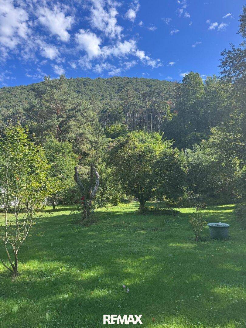 Offener Gartenbereich mit Rasenfläche und Blick auf den dicht bewaldeten Hügel unter einem klaren blauen Himmel.