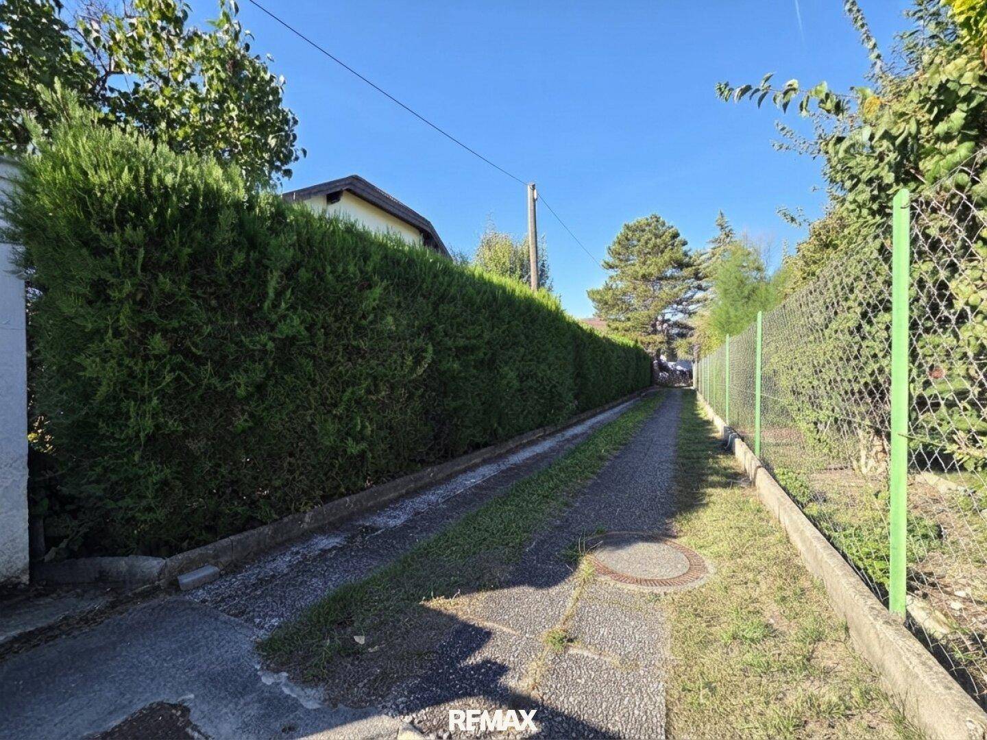 Lange Zufahrt zum Grundstück, gesäumt von einer dichten Hecke und einem Zaun unter blauem Himmel.