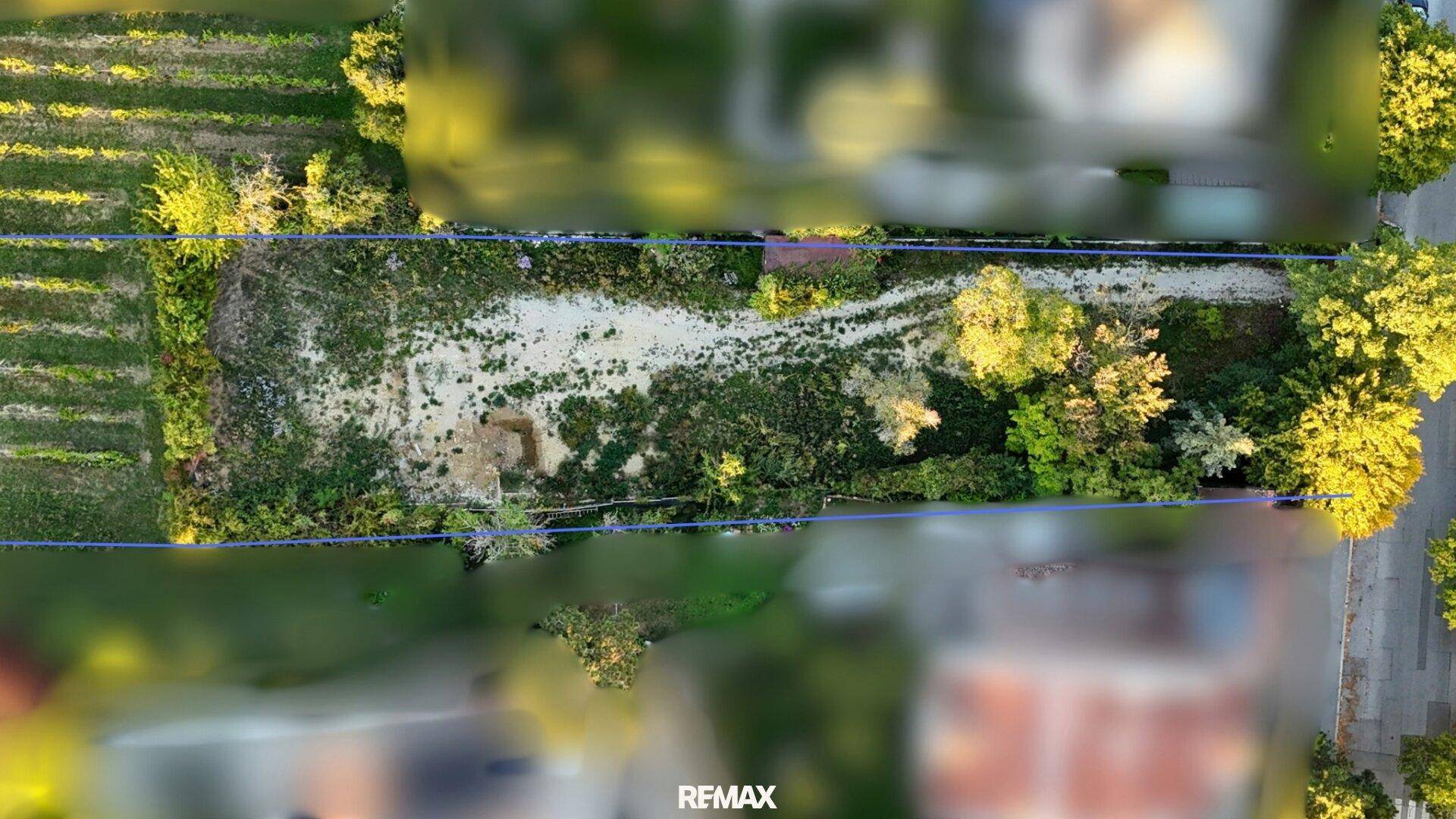 Draufsicht auf das unbebaute Grundstück mit natürlicher Vegetation und Baumbestand.