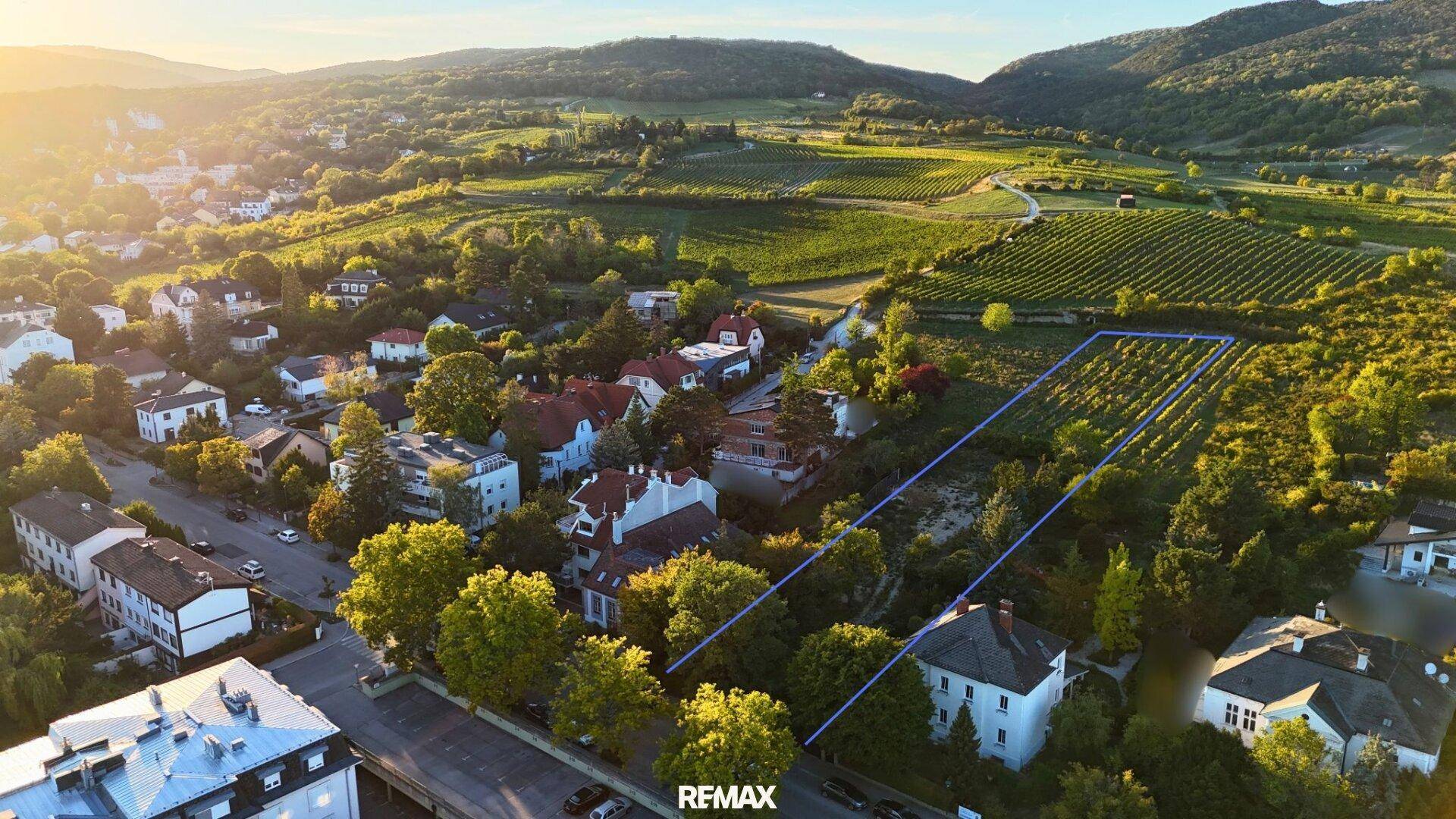Luftaufnahme eines Baugrundstücks mit Weinbergen und Häusern bei Sonnenuntergang.