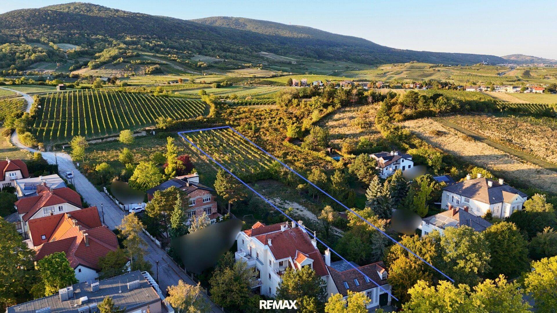 Weitläufige Luftaufnahme des Baugrundstücks mit angrenzenden Weinbergen und Wohngebieten.
