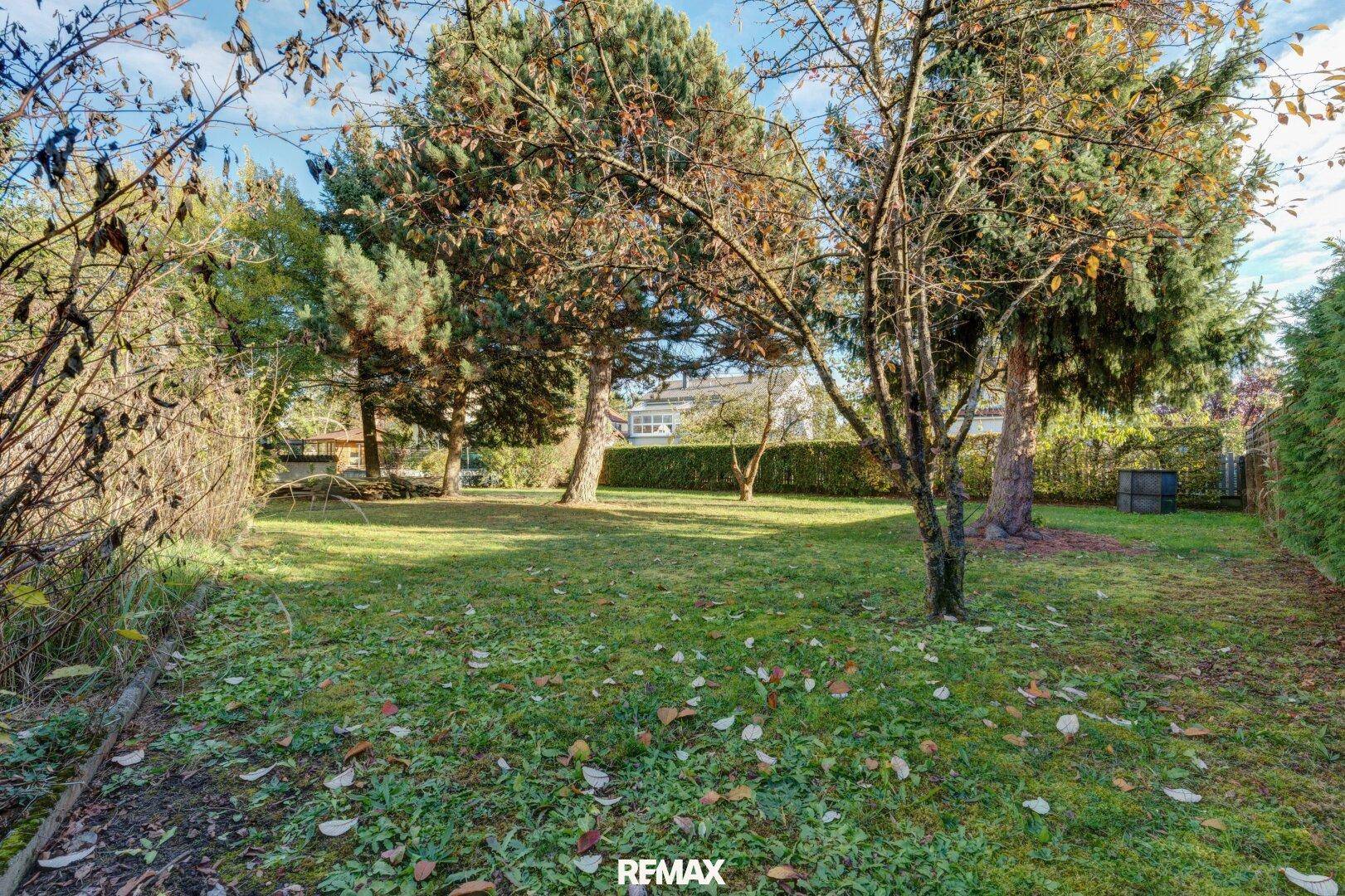 Großer, sonniger Garten mit altem Baumbestand und weitläufiger Rasenfläche.