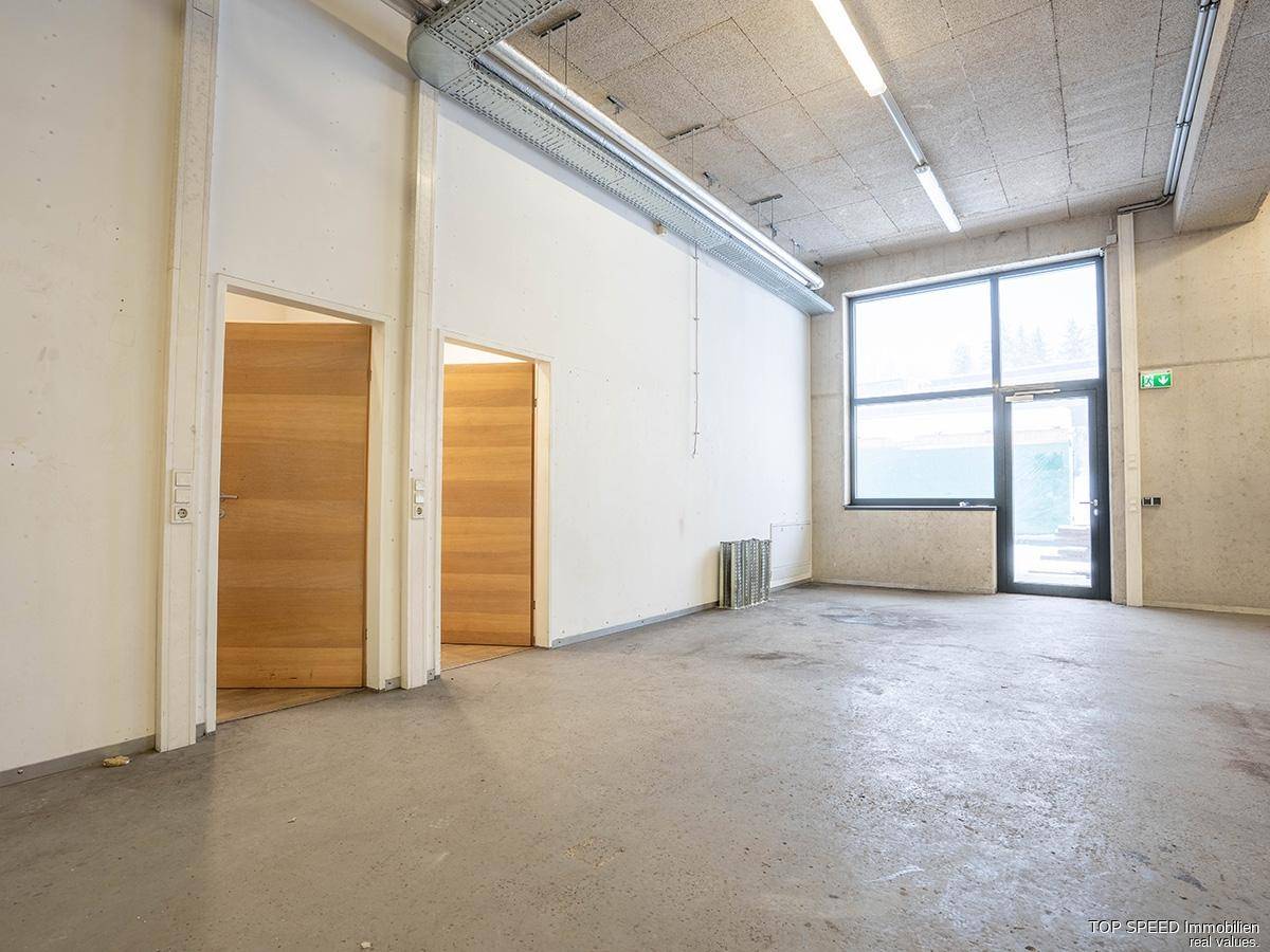 Heller Eingangsbereich mit Holztüren und großem Fenster, das viel Tageslicht hereinlässt.