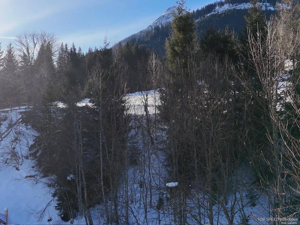 Winterliche Berglandschaft mit verschneiten Bäumen und einem klaren blauen Himmel.
