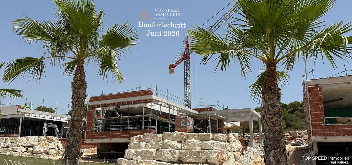 Blick auf eine Baustelle mit Palmen und Kränen, die den Baufortschritt zeigen.