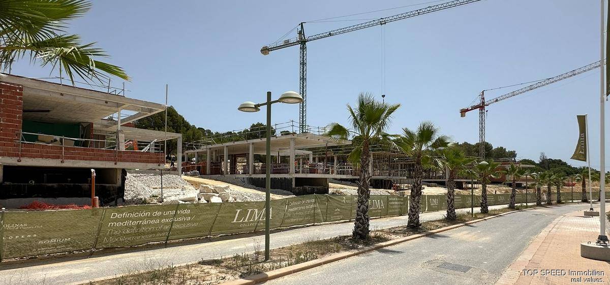 Weitläufige Baustelle mit mehreren Kränen und Palmen entlang einer zukünftigen Straße.