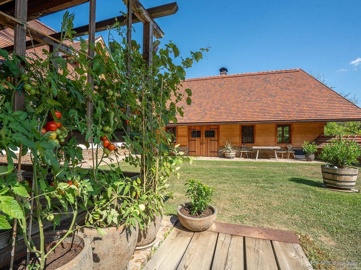 Sonnige Gartenanlage mit Tomatenpflanzen in Töpfen und Rasenfläche vor einem Holzhaus.