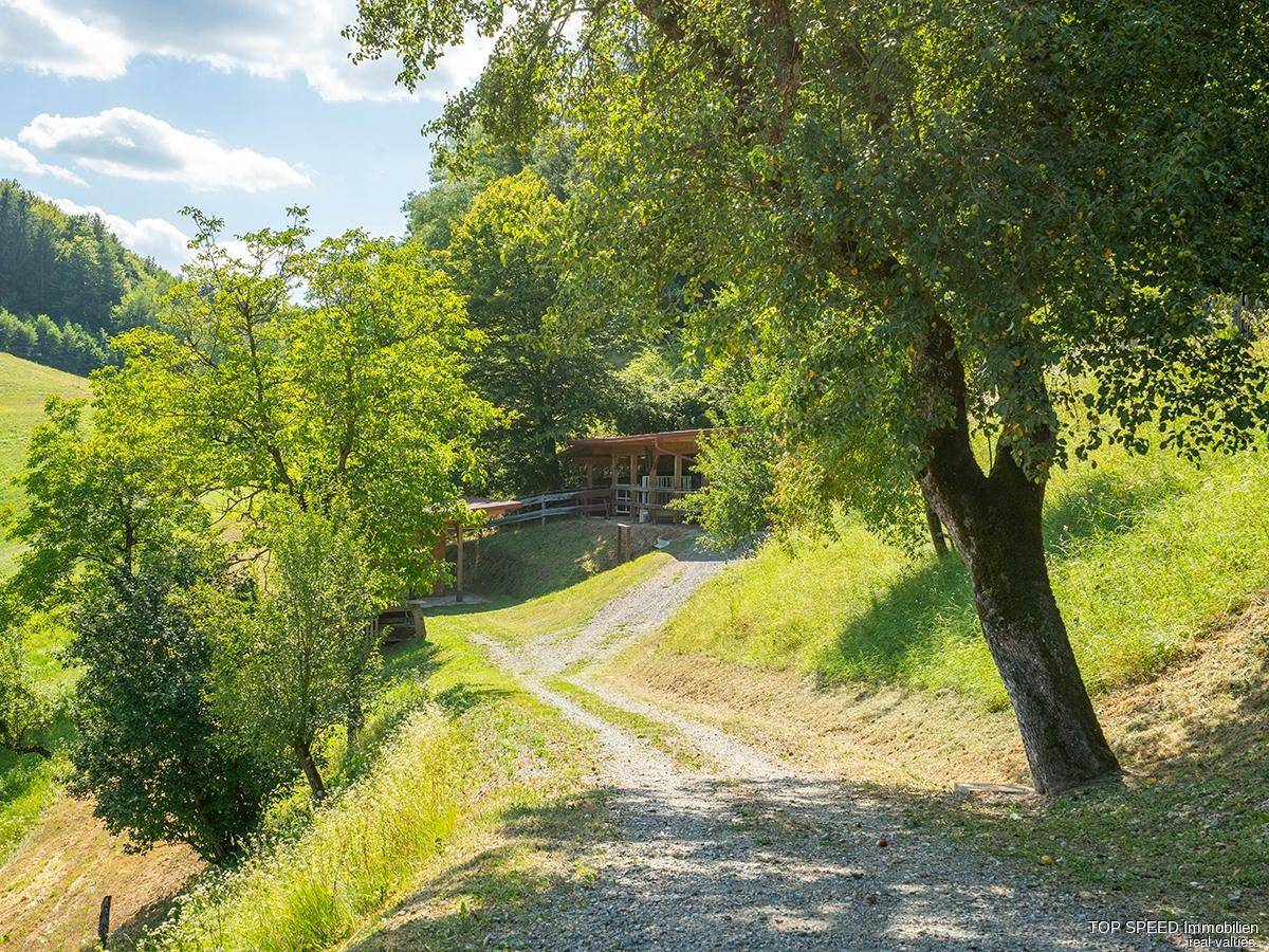 Schotterweg führt durch eine grüne Hügellandschaft mit Bäumen und Sträuchern unter blauem Himmel.