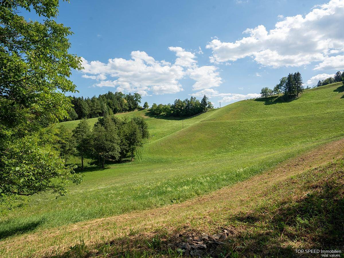 Weitläufige grüne Hügellandschaft unter blauem Himmel mit vereinzelten Bäumen und Wiesen.
