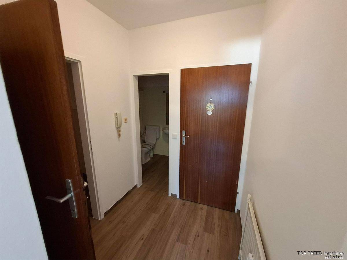 Eingangsbereich mit Holztüren, Laminatboden und Zugang zu weiteren Räumen.