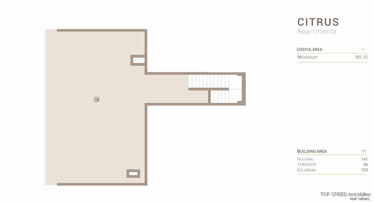 Grundriss des Solariums mit großzügiger Fläche und Zugang über eine Treppe.