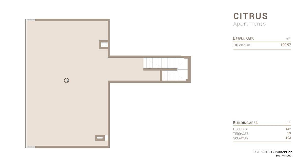Grundriss einer Dachterrasse mit großzügiger Fläche und Zugang über eine Treppe.