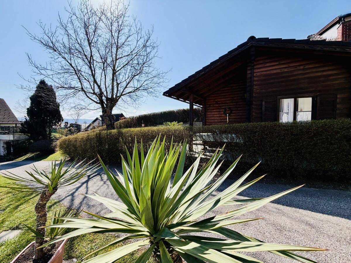 Gartenhaus aus Holz umgeben von gepflegtem Garten mit Palmen und Hecke.
