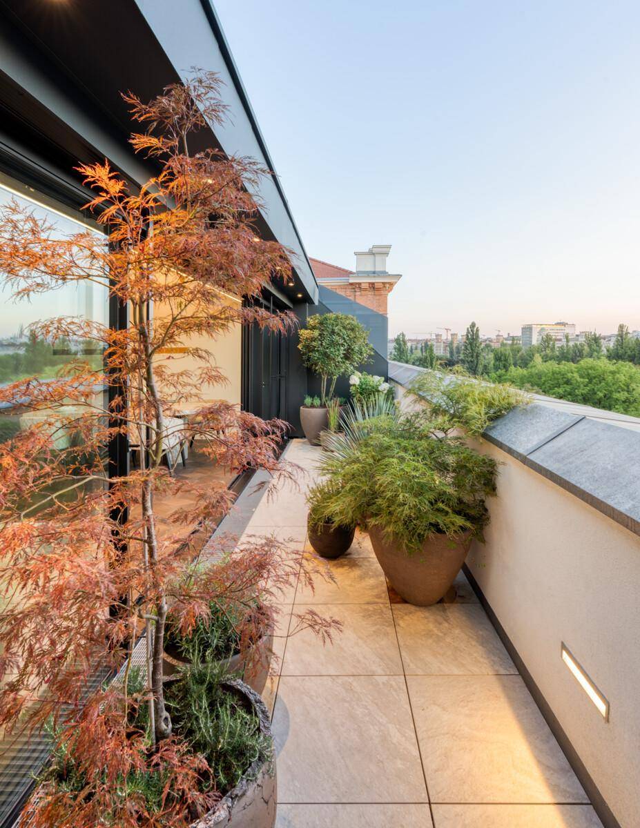 Schmale Dachterrasse mit verschiedenen Pflanzen in Töpfen und Blick auf die Umgebung.