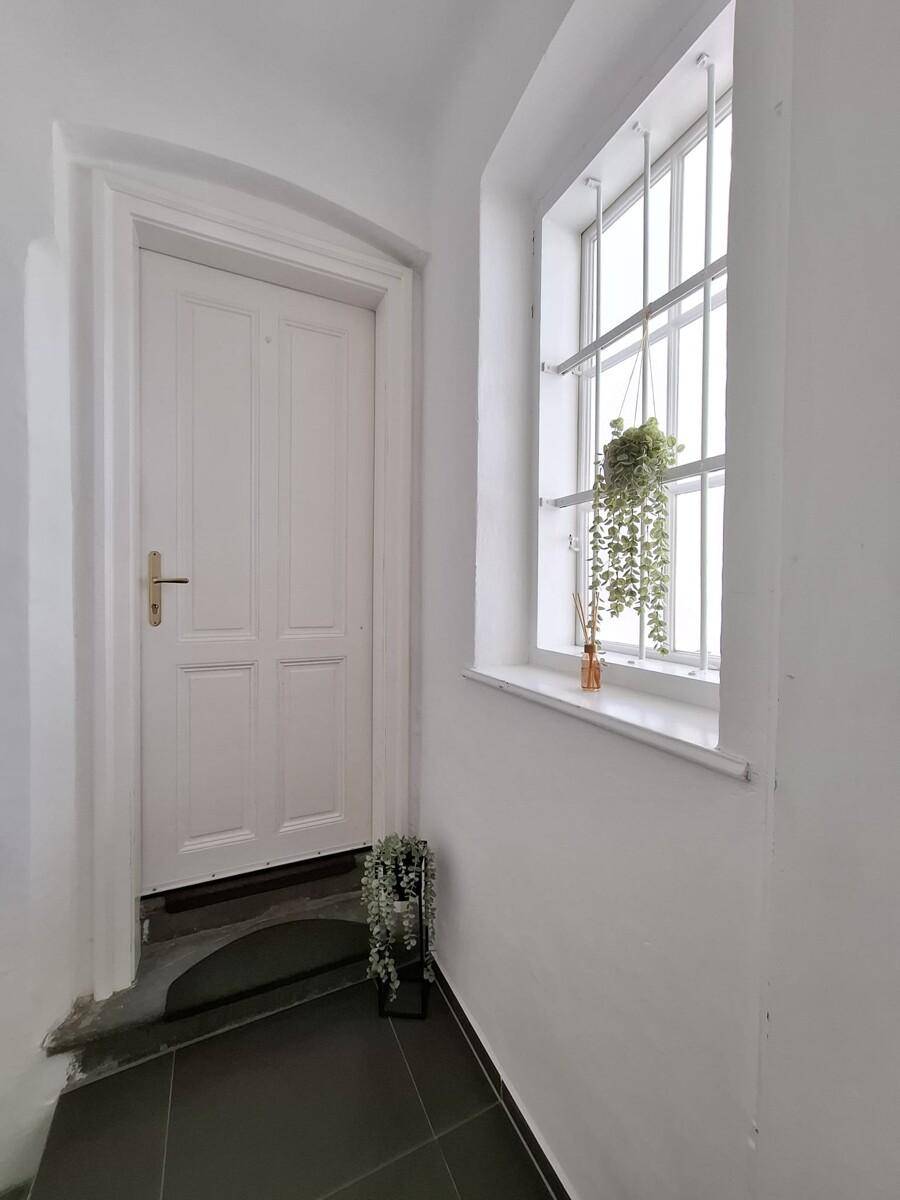 Heller Flur mit weißer Tür, vergittertem Fenster und einer Hängepflanze als dekoratives Element.