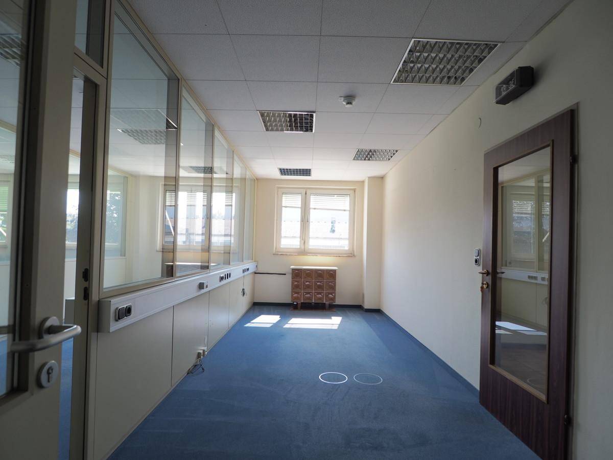 Büroflur mit blauem Teppichboden, Fenstern und Türen zu einzelnen Büroräumen.