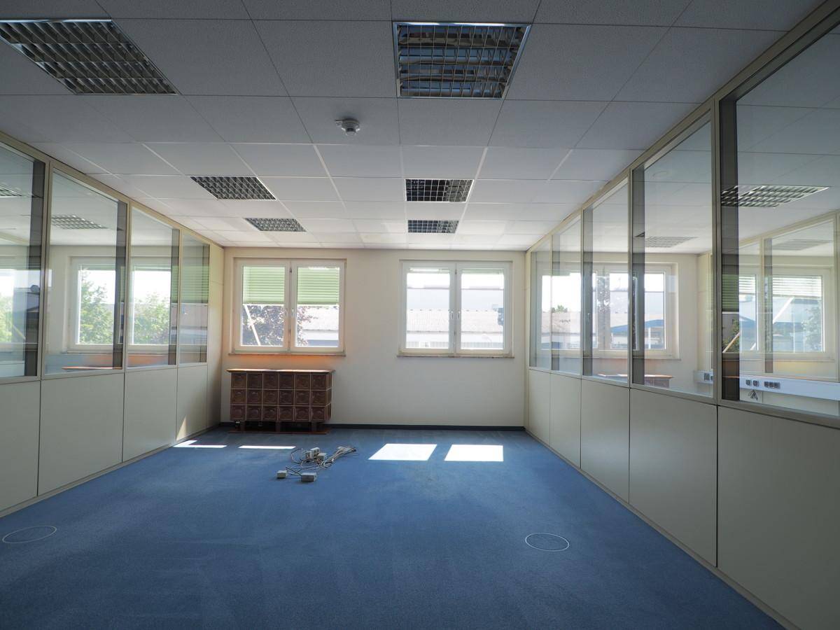 Leeres Büro mit blauem Teppichboden, Glas-Trennwänden und Fenstern, die viel Tageslicht hereinlassen.