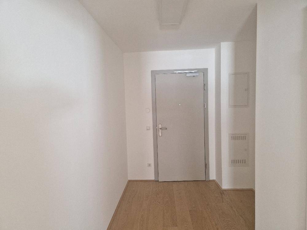 Heller Eingangsbereich mit Holzboden und moderner Wohnungstür.
