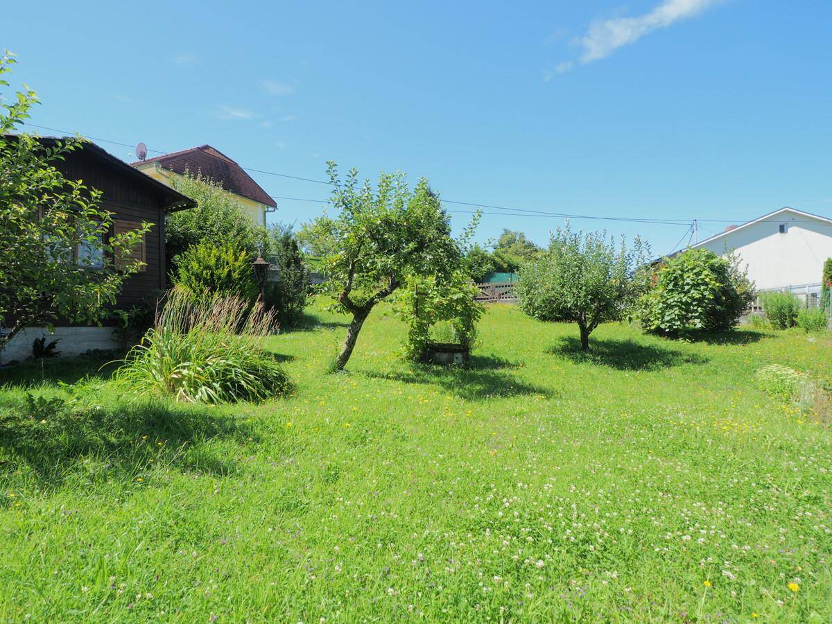 Weitläufiger grüner Garten mit Obstbäumen und einem Holzhaus im Hintergrund an einem sonnigen Tag.