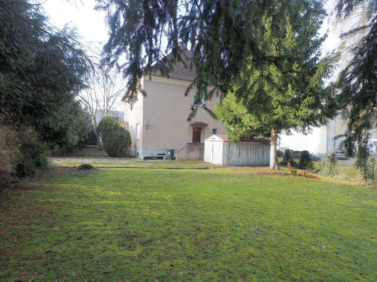 Rückansicht des Hauses mit grünem Garten, hohen Bäumen und einem kleinen Geräteschuppen.