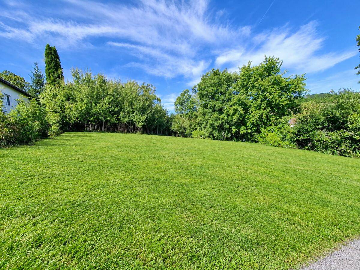 Große, sonnige Rasenfläche mit dichtem Baumbestand am Rand und blauem Himmel darüber.