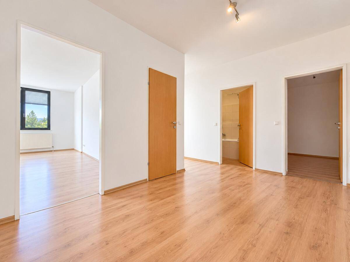 Geräumiger, heller Flur mit Laminatboden und Zugang zu mehreren Zimmern.