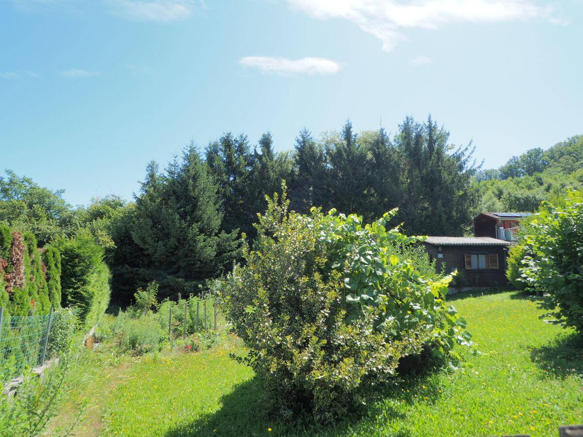 Panoramablick auf den weitläufigen Garten mit üppiger Vegetation, hohen Bäumen und einem Zaun auf der linken Seite.