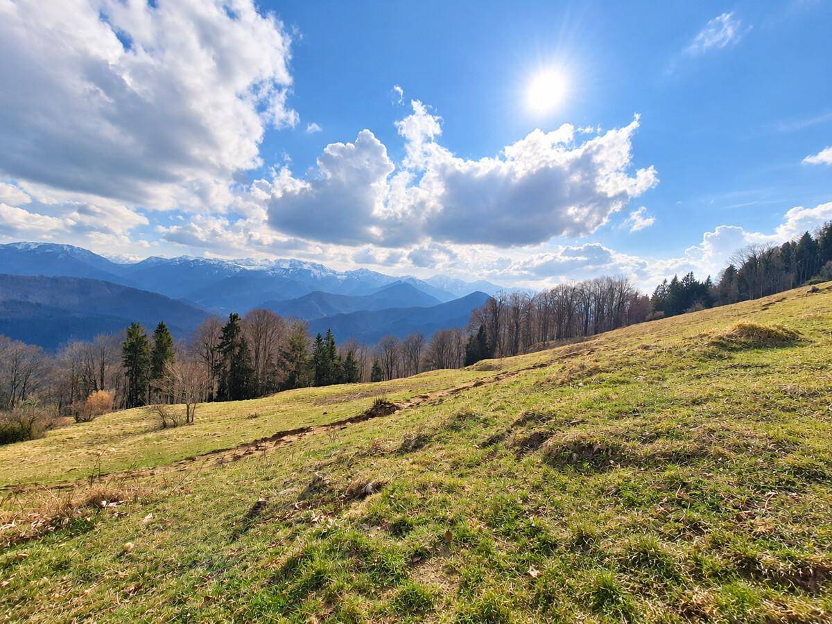 Weitläufige grüne Hügellandschaft mit bewaldeten Hängen und schneebedeckten Bergen im Hintergrund unter strahlendem Himmel.